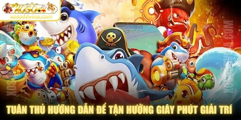 Bắn Cá XOSO66 VINA – Trải Nghiệm Giải Trí Bắn Cá Đỉnh Cao - XOVN.WEBSITE