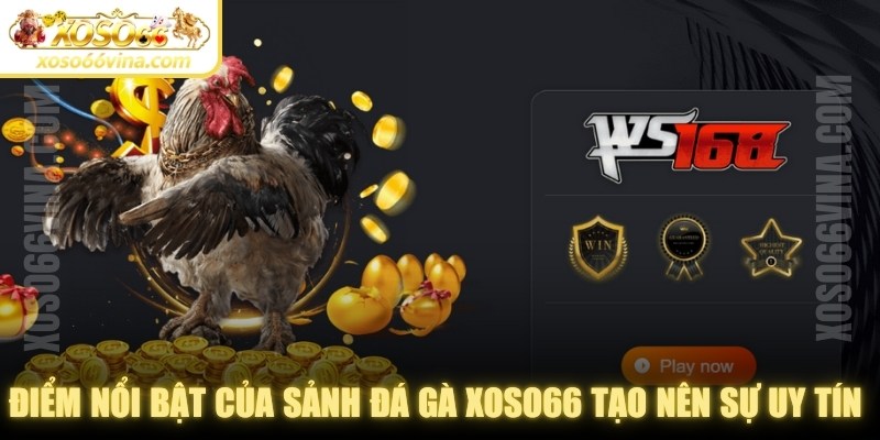 Đá Gà XOSO66 VINA Uy Tín - Đa Dạng Kèo Cược Để Chơi - XOVN.WEBSITE