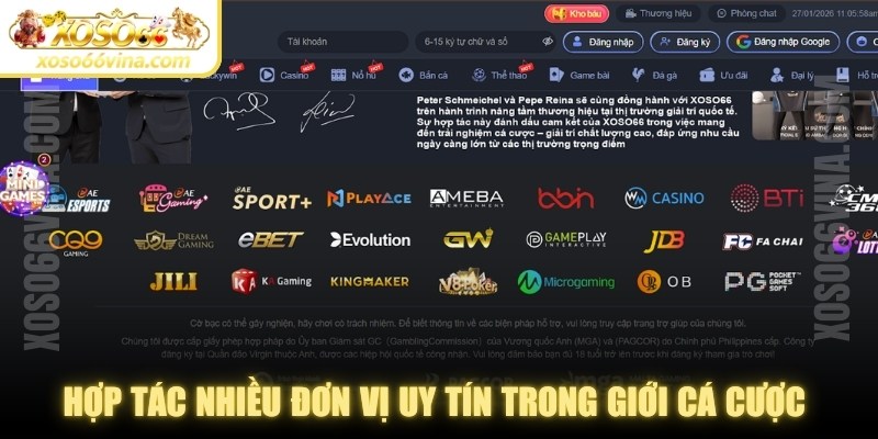 Đánh giá XOSO66 VINA – Trải nghiệm từ người chơi - XOVN.WEBSITE