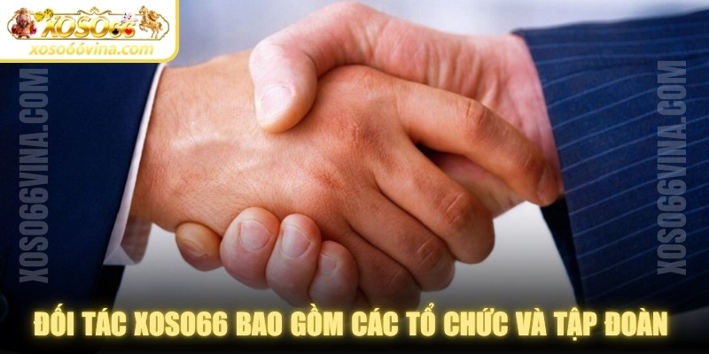 Đối Tác XOSO66 VINA: Vai trò & hiệu quả triển khai - XOVN.WEBSITE