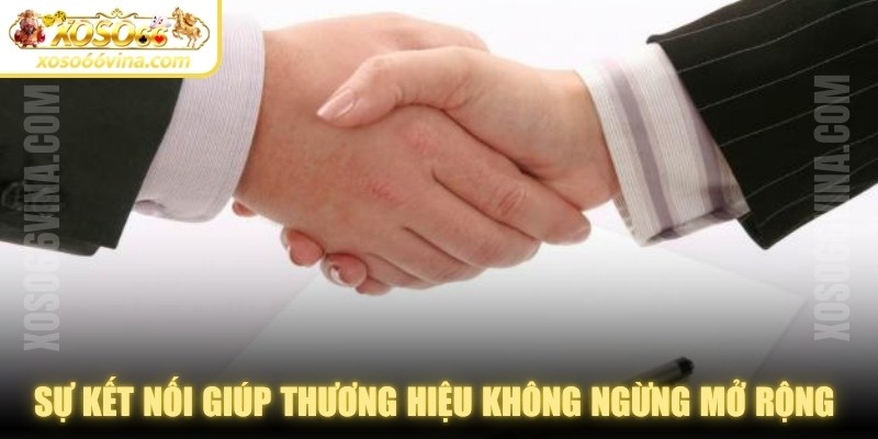 Đối Tác XOSO66 VINA: Vai trò & hiệu quả triển khai - XOVN.WEBSITE