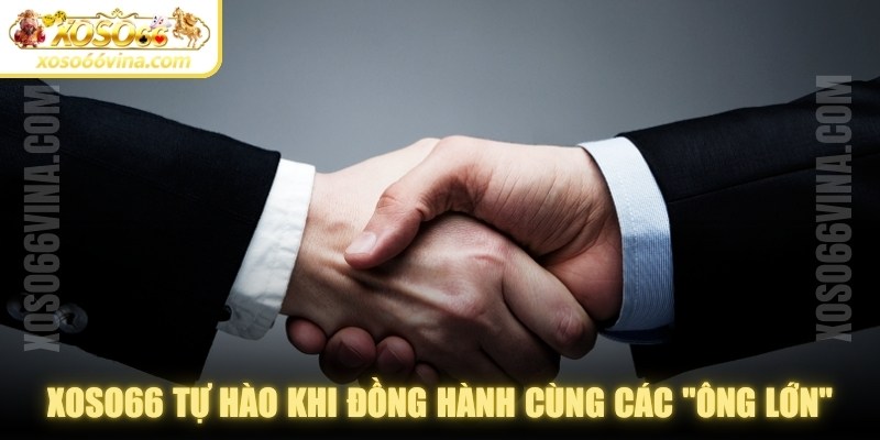 Đối Tác XOSO66 VINA: Vai trò & hiệu quả triển khai - XOVN.WEBSITE