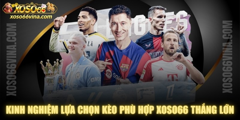 Hướng dẫn cá cược - XOSO66 VINA - XOVN.WEBSITE